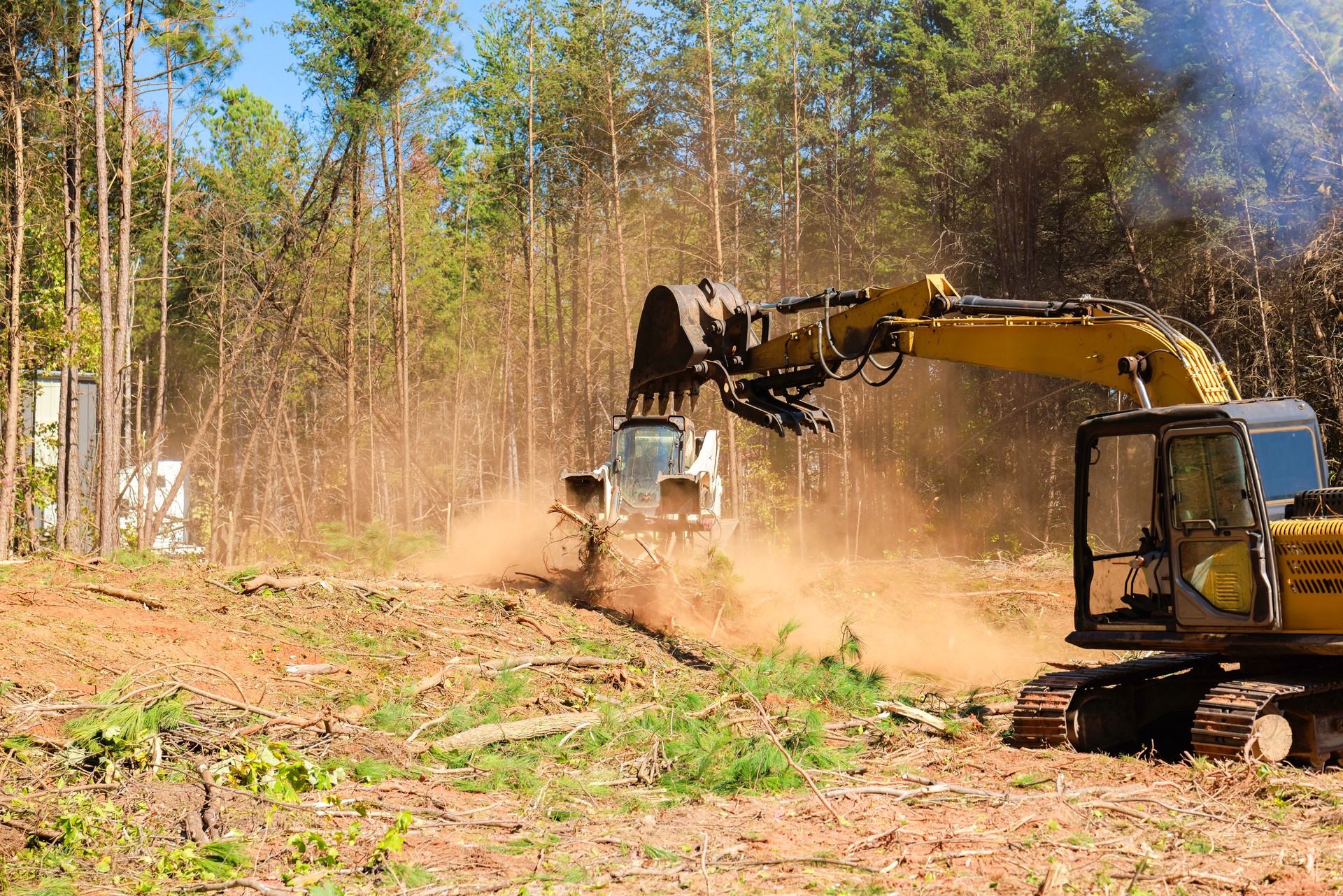 Heavy machinery clearing forested area for development in rural setting during works day